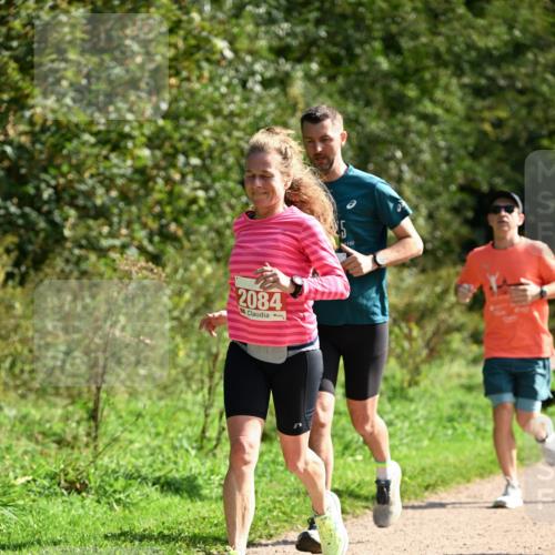 27.09.2026 - 35. Volkslauf durch das schöne Alstertal Dr. Thomas Lammeyer http://msf.ph/oto/10580864 27.09.2026 12:20:22 Laufen 2084 meine-sportfotos.de