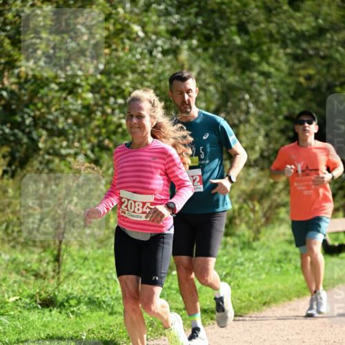 27.09.2026 - 35. Volkslauf durch das schöne Alstertal Dr. Thomas Lammeyer http://msf.ph/oto/10580865 27.09.2026 12:20:22 Laufen 5, 2084, 2 meine-sportfotos.de