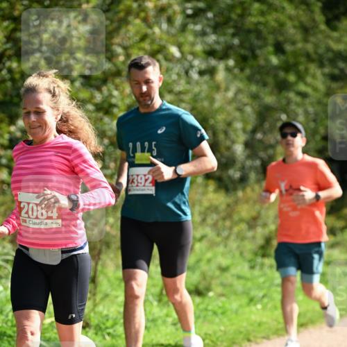 27.09.2026 - 35. Volkslauf durch das schöne Alstertal Dr. Thomas Lammeyer http://msf.ph/oto/10580869 27.09.2026 12:20:23 Laufen 2084, 2025, 2392 meine-sportfotos.de
