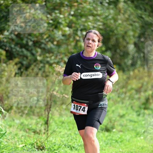 27.09.2026 - 35. Volkslauf durch das schöne Alstertal Dr. Thomas Lammeyer http://msf.ph/oto/10580879 27.09.2026 12:20:42 Laufen 1074 meine-sportfotos.de