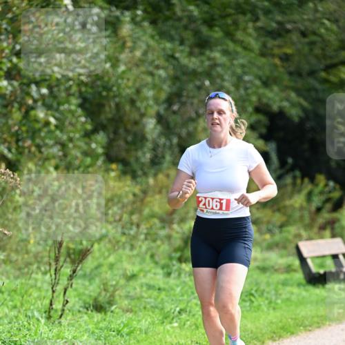 27.09.2026 - 35. Volkslauf durch das schöne Alstertal Dr. Thomas Lammeyer http://msf.ph/oto/10580960 27.09.2026 12:21:42 Laufen 2061 meine-sportfotos.de