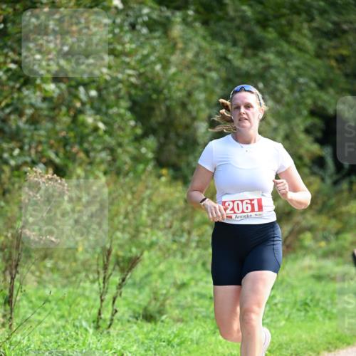 27.09.2026 - 35. Volkslauf durch das schöne Alstertal Dr. Thomas Lammeyer http://msf.ph/oto/10580962 27.09.2026 12:21:43 Laufen 2061 meine-sportfotos.de