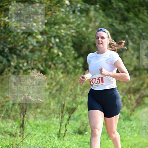 27.09.2026 - 35. Volkslauf durch das schöne Alstertal Dr. Thomas Lammeyer http://msf.ph/oto/10580965 27.09.2026 12:21:43 Laufen 2061 meine-sportfotos.de