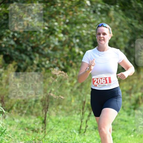 27.09.2026 - 35. Volkslauf durch das schöne Alstertal Dr. Thomas Lammeyer http://msf.ph/oto/10580967 27.09.2026 12:21:43 Laufen 2061 meine-sportfotos.de
