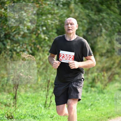27.09.2026 - 35. Volkslauf durch das schöne Alstertal Dr. Thomas Lammeyer http://msf.ph/oto/10580976 27.09.2026 12:21:47 Laufen 2302 meine-sportfotos.de