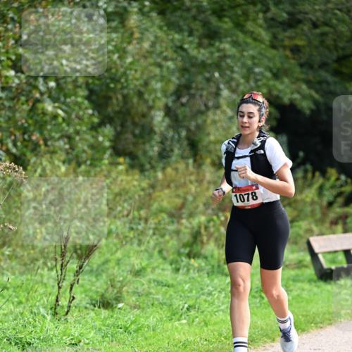 27.09.2026 - 35. Volkslauf durch das schöne Alstertal Dr. Thomas Lammeyer http://msf.ph/oto/10580984 27.09.2026 12:21:56 Laufen 1078 meine-sportfotos.de