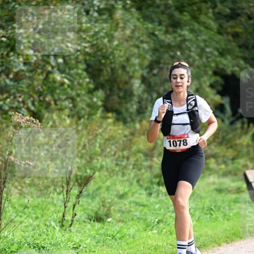 27.09.2026 - 35. Volkslauf durch das schöne Alstertal Dr. Thomas Lammeyer http://msf.ph/oto/10580987 27.09.2026 12:21:56 Laufen 1078 meine-sportfotos.de