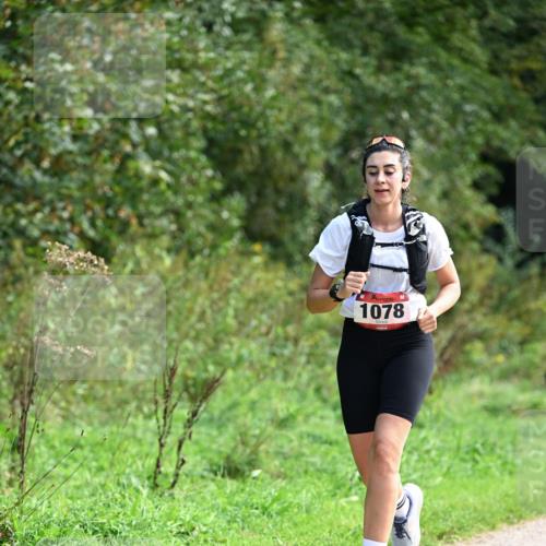 27.09.2026 - 35. Volkslauf durch das schöne Alstertal Dr. Thomas Lammeyer http://msf.ph/oto/10580988 27.09.2026 12:21:57 Laufen 1078 meine-sportfotos.de