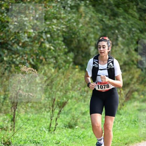 27.09.2026 - 35. Volkslauf durch das schöne Alstertal Dr. Thomas Lammeyer http://msf.ph/oto/10580989 27.09.2026 12:21:57 Laufen 1078 meine-sportfotos.de
