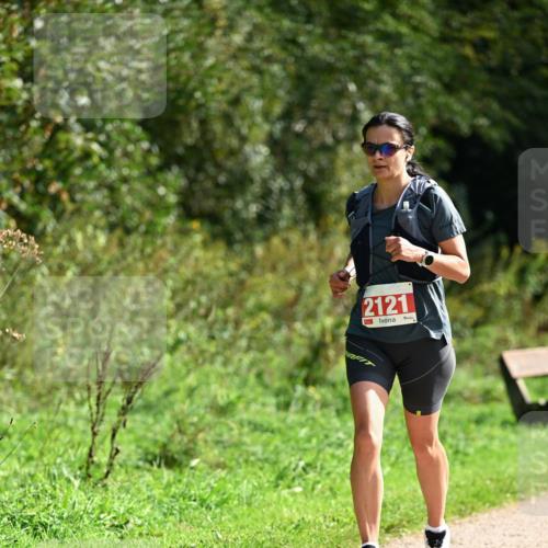27.09.2026 - 35. Volkslauf durch das schöne Alstertal Dr. Thomas Lammeyer http://msf.ph/oto/10581049 27.09.2026 12:22:43 Laufen 2121 meine-sportfotos.de