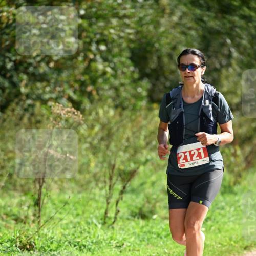 27.09.2026 - 35. Volkslauf durch das schöne Alstertal Dr. Thomas Lammeyer http://msf.ph/oto/10581054 27.09.2026 12:22:43 Laufen 2121 meine-sportfotos.de