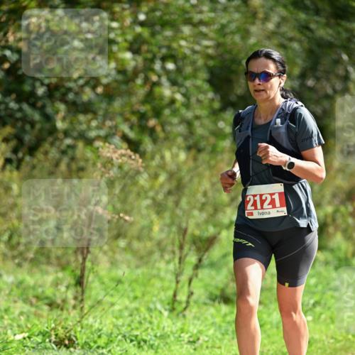 27.09.2026 - 35. Volkslauf durch das schöne Alstertal Dr. Thomas Lammeyer http://msf.ph/oto/10581055 27.09.2026 12:22:43 Laufen 2121 meine-sportfotos.de