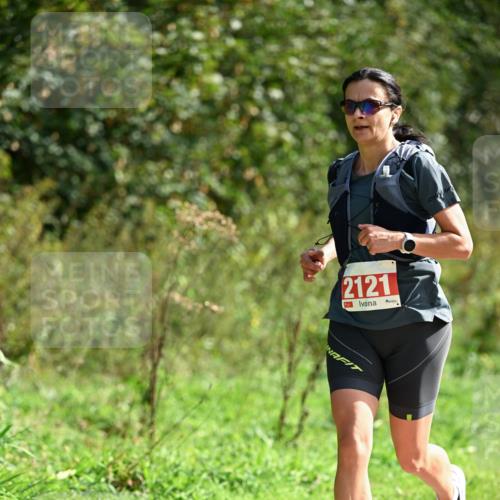 27.09.2026 - 35. Volkslauf durch das schöne Alstertal Dr. Thomas Lammeyer http://msf.ph/oto/10581056 27.09.2026 12:22:44 Laufen 2121 meine-sportfotos.de