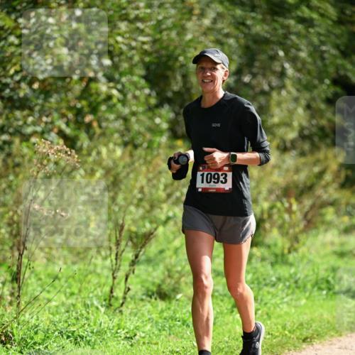 27.09.2026 - 35. Volkslauf durch das schöne Alstertal Dr. Thomas Lammeyer http://msf.ph/oto/10581062 27.09.2026 12:22:51 Laufen 1093 meine-sportfotos.de