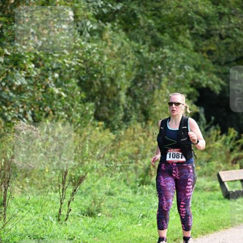 27.09.2026 - 35. Volkslauf durch das schöne Alstertal Dr. Thomas Lammeyer http://msf.ph/oto/10581103 27.09.2026 12:23:20 Laufen 1081 meine-sportfotos.de