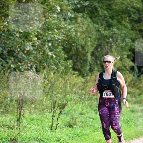 27.09.2026 - 35. Volkslauf durch das schöne Alstertal Dr. Thomas Lammeyer http://msf.ph/oto/10581106 27.09.2026 12:23:20 Laufen 108 meine-sportfotos.de