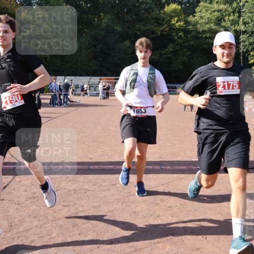 27.09.2026 - 35. Volkslauf durch das schöne Alstertal Strokosch-Dieckow http://msf.ph/oto/10581118 27.09.2026 12:59:31 Ziel 1653, 2175, 2190 meine-sportfotos.de