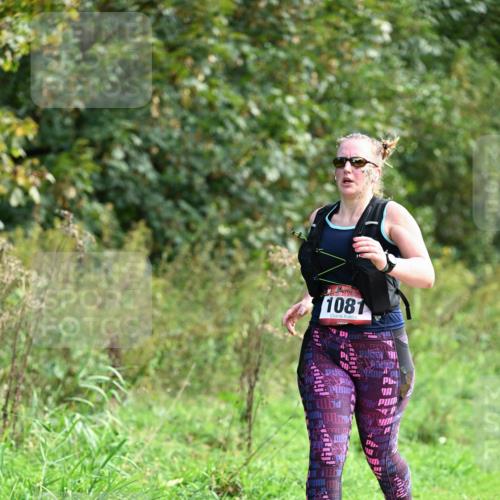 27.09.2026 - 35. Volkslauf durch das schöne Alstertal Dr. Thomas Lammeyer http://msf.ph/oto/10581120 27.09.2026 12:23:21 Laufen 1081 meine-sportfotos.de