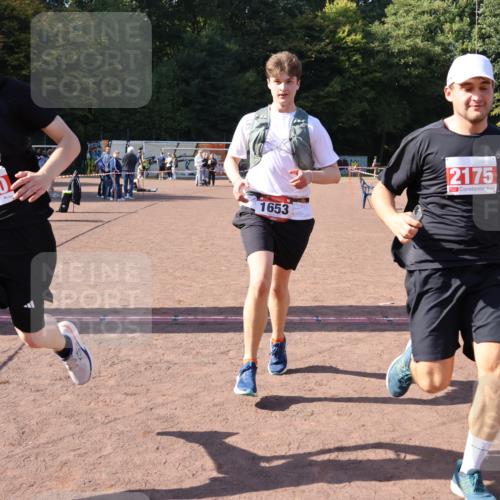 27.09.2026 - 35. Volkslauf durch das schöne Alstertal Strokosch-Dieckow http://msf.ph/oto/10581122 27.09.2026 12:59:31 Ziel 1653, 2175, 2190 meine-sportfotos.de