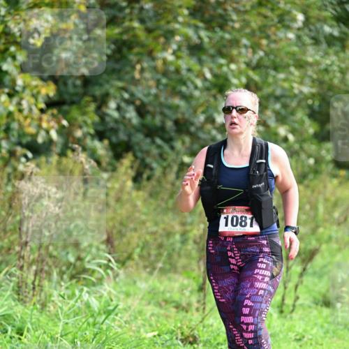 27.09.2026 - 35. Volkslauf durch das schöne Alstertal Dr. Thomas Lammeyer http://msf.ph/oto/10581123 27.09.2026 12:23:22 Laufen 1081 meine-sportfotos.de
