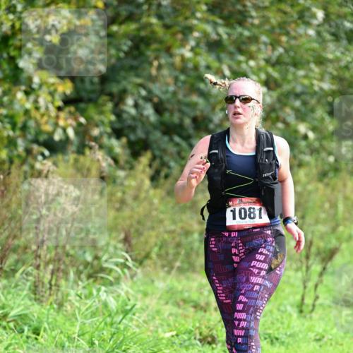 27.09.2026 - 35. Volkslauf durch das schöne Alstertal Dr. Thomas Lammeyer http://msf.ph/oto/10581124 27.09.2026 12:23:22 Laufen 1081 meine-sportfotos.de