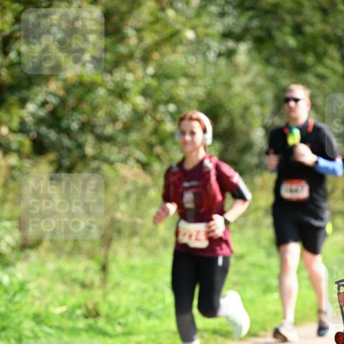 27.09.2026 - 35. Volkslauf durch das schöne Alstertal Dr. Thomas Lammeyer http://msf.ph/oto/10581169 27.09.2026 12:24:09 Laufen  meine-sportfotos.de