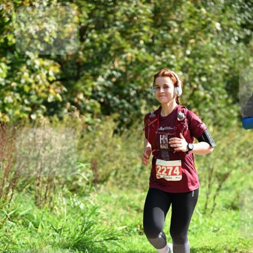 27.09.2026 - 35. Volkslauf durch das schöne Alstertal Dr. Thomas Lammeyer http://msf.ph/oto/10581173 27.09.2026 12:24:10 Laufen 2274 meine-sportfotos.de