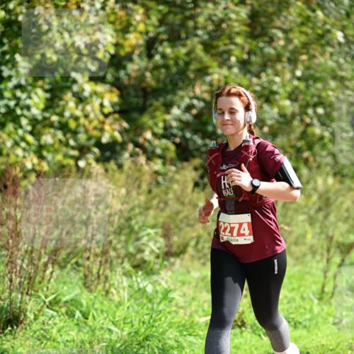 27.09.2026 - 35. Volkslauf durch das schöne Alstertal Dr. Thomas Lammeyer http://msf.ph/oto/10581174 27.09.2026 12:24:10 Laufen 2274 meine-sportfotos.de