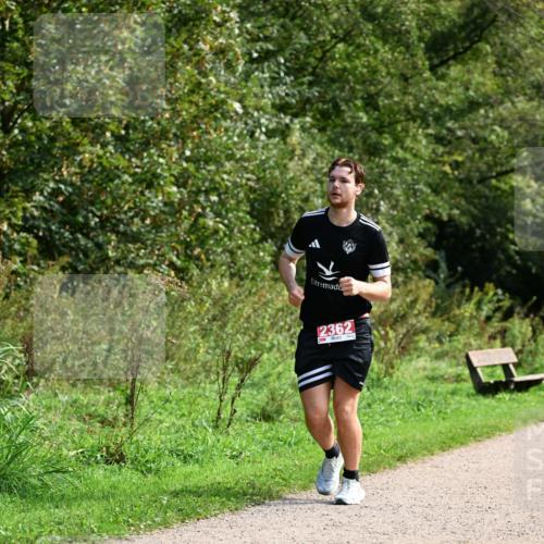 27.09.2026 - 35. Volkslauf durch das schöne Alstertal Dr. Thomas Lammeyer http://msf.ph/oto/10581210 27.09.2026 12:24:33 Laufen 12362 meine-sportfotos.de