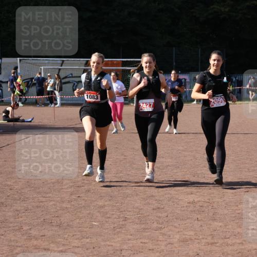 27.09.2026 - 35. Volkslauf durch das schöne Alstertal Strokosch-Dieckow http://msf.ph/oto/10581222 27.09.2026 13:00:01 Ziel 1083, 2099, 2427 meine-sportfotos.de