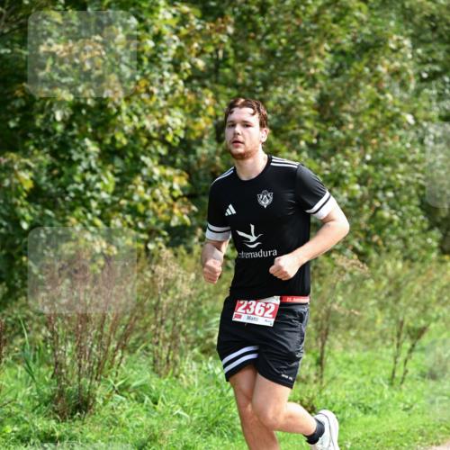27.09.2026 - 35. Volkslauf durch das schöne Alstertal Dr. Thomas Lammeyer http://msf.ph/oto/10581223 27.09.2026 12:24:34 Laufen 2362, 22 meine-sportfotos.de