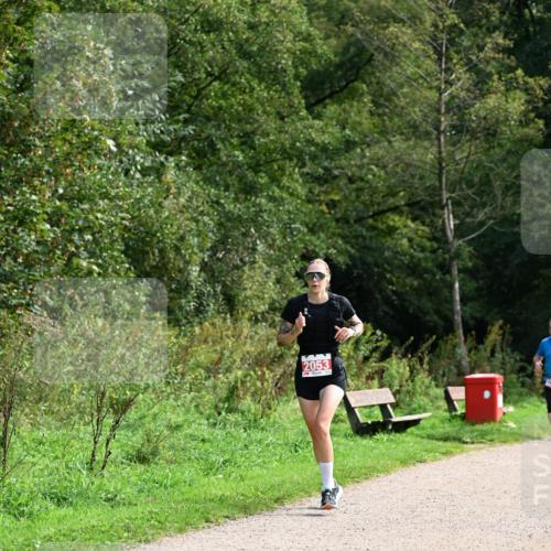 27.09.2026 - 35. Volkslauf durch das schöne Alstertal Dr. Thomas Lammeyer http://msf.ph/oto/10581243 27.09.2026 12:24:40 Laufen 2053 meine-sportfotos.de