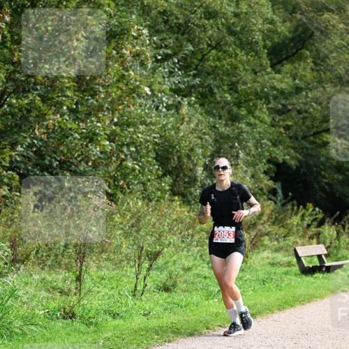 27.09.2026 - 35. Volkslauf durch das schöne Alstertal Dr. Thomas Lammeyer http://msf.ph/oto/10581250 27.09.2026 12:24:41 Laufen 2053 meine-sportfotos.de