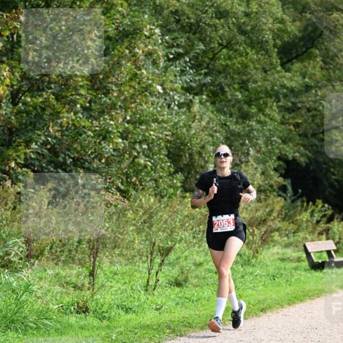 27.09.2026 - 35. Volkslauf durch das schöne Alstertal Dr. Thomas Lammeyer http://msf.ph/oto/10581251 27.09.2026 12:24:41 Laufen 2053 meine-sportfotos.de