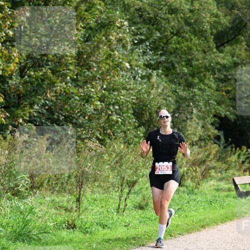 27.09.2026 - 35. Volkslauf durch das schöne Alstertal Dr. Thomas Lammeyer http://msf.ph/oto/10581252 27.09.2026 12:24:41 Laufen 2053 meine-sportfotos.de