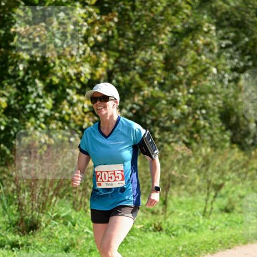 27.09.2026 - 35. Volkslauf durch das schöne Alstertal Dr. Thomas Lammeyer http://msf.ph/oto/10581308 27.09.2026 12:25:01 Laufen 2055 meine-sportfotos.de