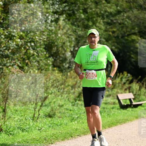 27.09.2026 - 35. Volkslauf durch das schöne Alstertal Dr. Thomas Lammeyer http://msf.ph/oto/10581316 27.09.2026 12:25:04 Laufen 2080 meine-sportfotos.de