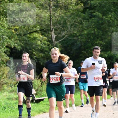 27.09.2026 - 35. Volkslauf durch das schöne Alstertal Dr. Thomas Lammeyer http://msf.ph/oto/10581337 27.09.2026 12:25:10 Laufen 1649, 2210, 2211, 2301, 1094, 9411 meine-sportfotos.de