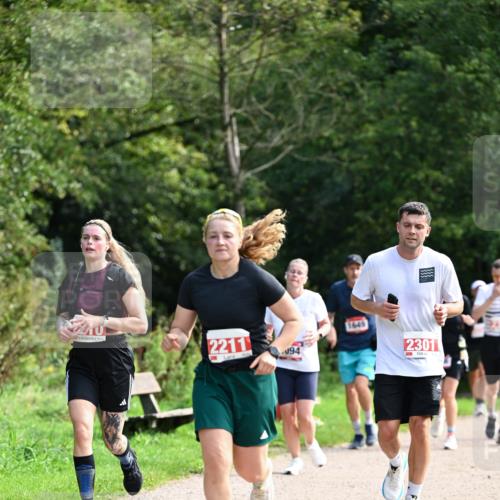 27.09.2026 - 35. Volkslauf durch das schöne Alstertal Dr. Thomas Lammeyer http://msf.ph/oto/10581338 27.09.2026 12:25:10 Laufen 2211, 94, 1645, 2301 meine-sportfotos.de