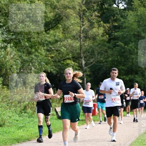 27.09.2026 - 35. Volkslauf durch das schöne Alstertal Dr. Thomas Lammeyer http://msf.ph/oto/10581342 27.09.2026 12:25:11 Laufen 2210, 2211, 1094, 1645, 2301 meine-sportfotos.de