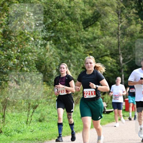 27.09.2026 - 35. Volkslauf durch das schöne Alstertal Dr. Thomas Lammeyer http://msf.ph/oto/10581348 27.09.2026 12:25:11 Laufen 2210, 2211, 1054 meine-sportfotos.de