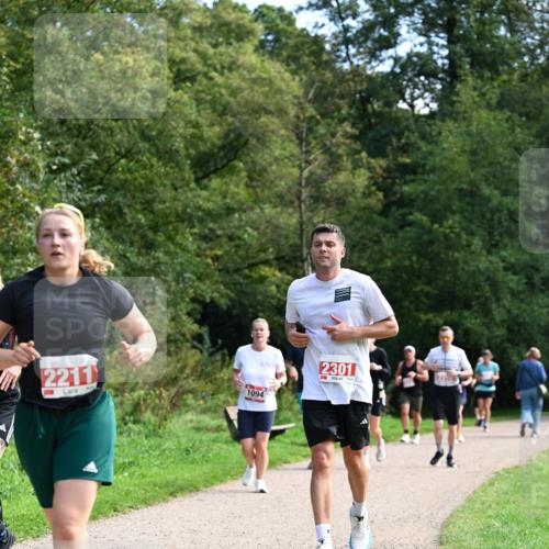 27.09.2026 - 35. Volkslauf durch das schöne Alstertal Dr. Thomas Lammeyer http://msf.ph/oto/10581353 27.09.2026 12:25:12 Laufen 2211, 1094, 2301 meine-sportfotos.de