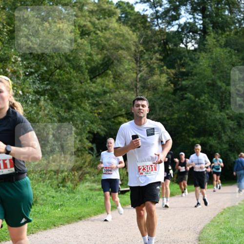 27.09.2026 - 35. Volkslauf durch das schöne Alstertal Dr. Thomas Lammeyer http://msf.ph/oto/10581356 27.09.2026 12:25:13 Laufen 11, 1094, 2301 meine-sportfotos.de