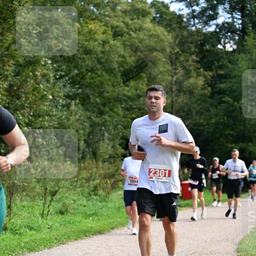 27.09.2026 - 35. Volkslauf durch das schöne Alstertal Dr. Thomas Lammeyer http://msf.ph/oto/10581360 27.09.2026 12:25:13 Laufen 1094, 2301 meine-sportfotos.de