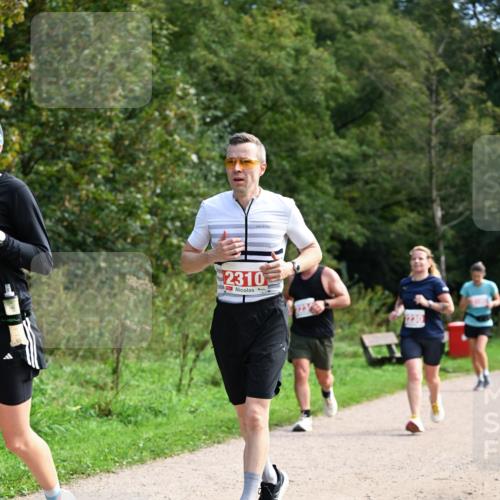 27.09.2026 - 35. Volkslauf durch das schöne Alstertal Dr. Thomas Lammeyer http://msf.ph/oto/10581389 27.09.2026 12:25:18 Laufen 2310 meine-sportfotos.de