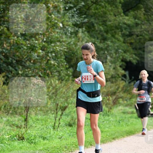 27.09.2026 - 35. Volkslauf durch das schöne Alstertal Dr. Thomas Lammeyer http://msf.ph/oto/10581408 27.09.2026 12:25:22 Laufen 2198, 1087 meine-sportfotos.de