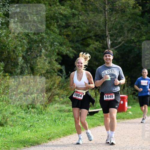 27.09.2026 - 35. Volkslauf durch das schöne Alstertal Dr. Thomas Lammeyer http://msf.ph/oto/10581436 27.09.2026 12:25:30 Laufen 2234, 1084, 1645 meine-sportfotos.de