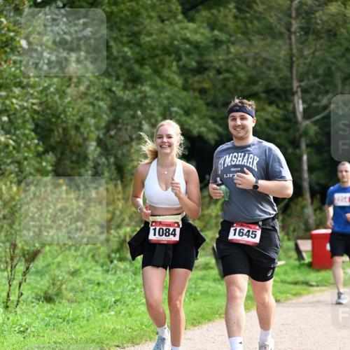 27.09.2026 - 35. Volkslauf durch das schöne Alstertal Dr. Thomas Lammeyer http://msf.ph/oto/10581446 27.09.2026 12:25:31 Laufen 2018, 1084, 1645 meine-sportfotos.de