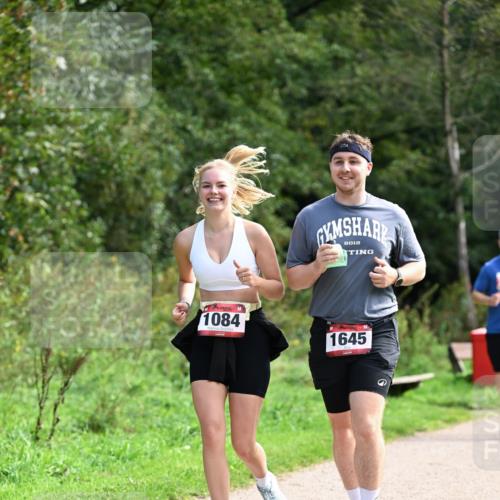 27.09.2026 - 35. Volkslauf durch das schöne Alstertal Dr. Thomas Lammeyer http://msf.ph/oto/10581449 27.09.2026 12:25:32 Laufen 1084, 2012, 1645 meine-sportfotos.de