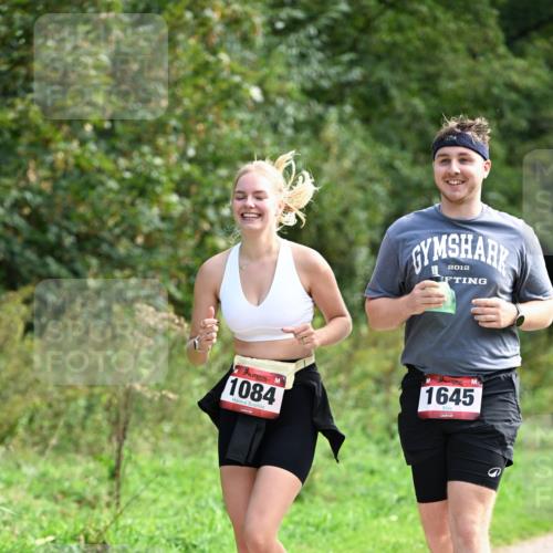 27.09.2026 - 35. Volkslauf durch das schöne Alstertal Dr. Thomas Lammeyer http://msf.ph/oto/10581456 27.09.2026 12:25:32 Laufen 1084, 1645 meine-sportfotos.de